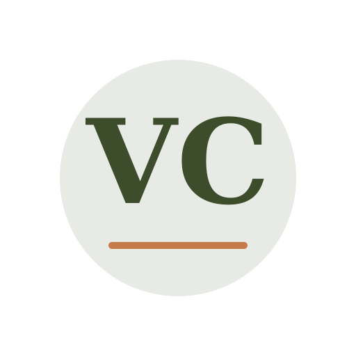 Valor Chimney Services logo